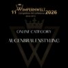 Augenbrauenstyling online