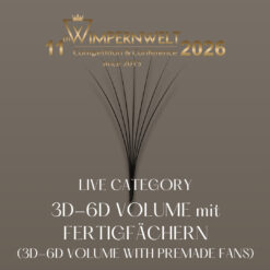 3D-6D Volume mit Fertigfächern